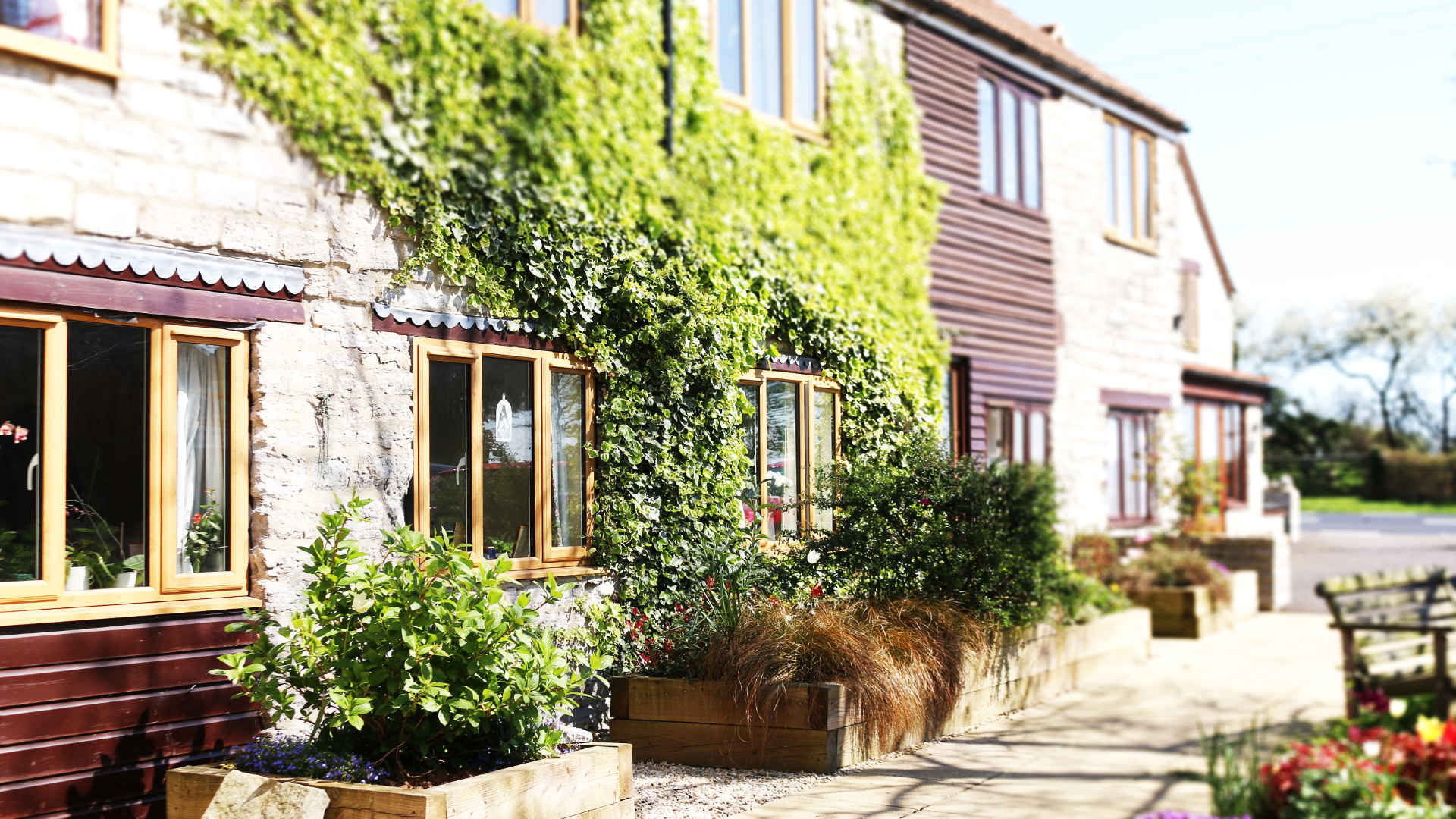 Activities , Care Home Somerset