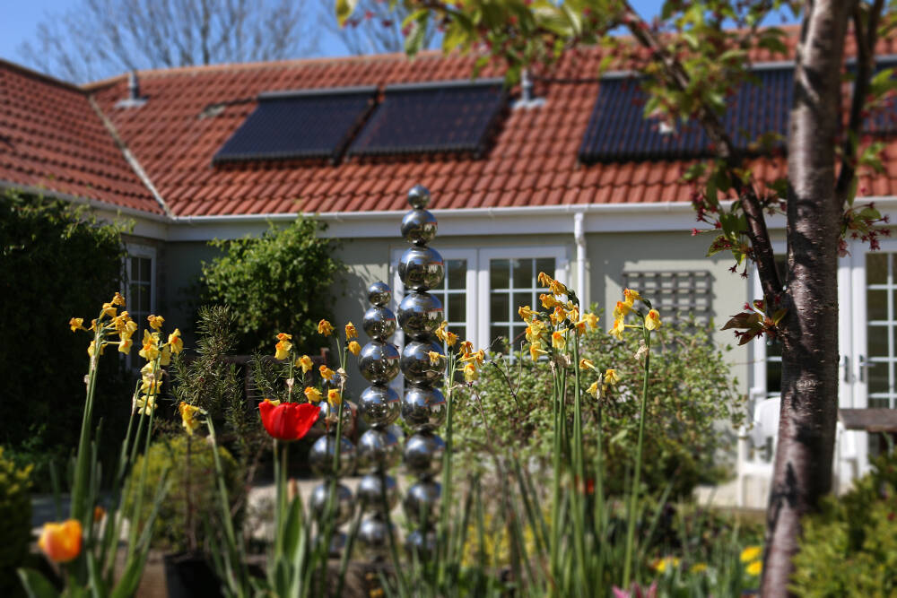 Garden, Care Home Somerset