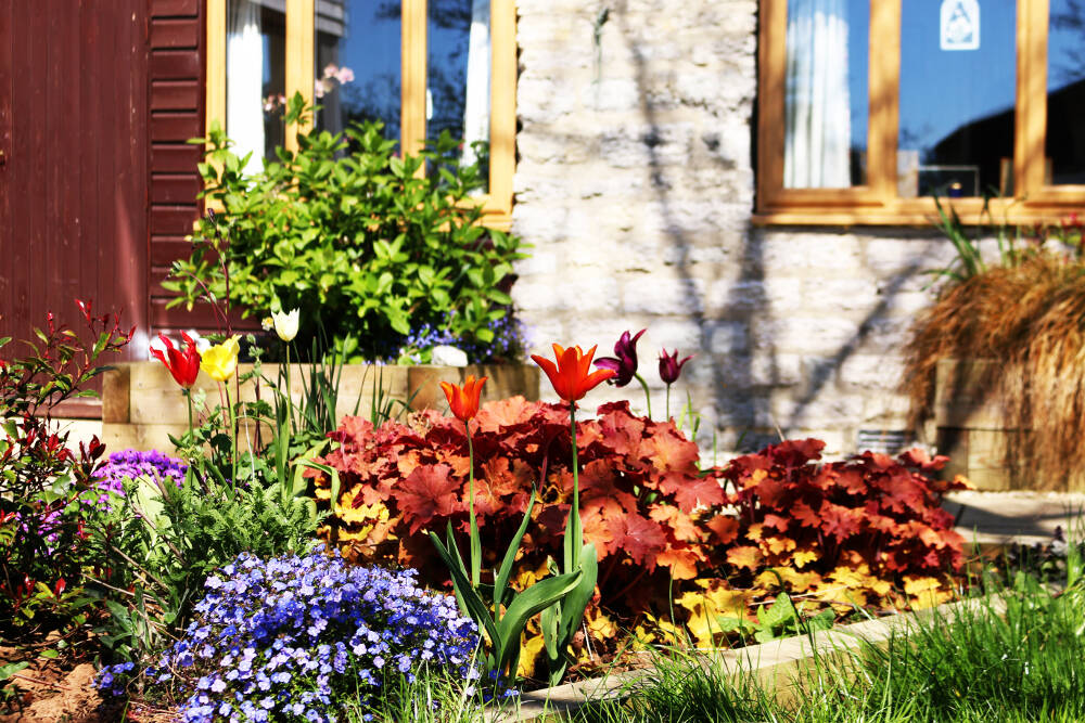 Services, Somerset Care Homes